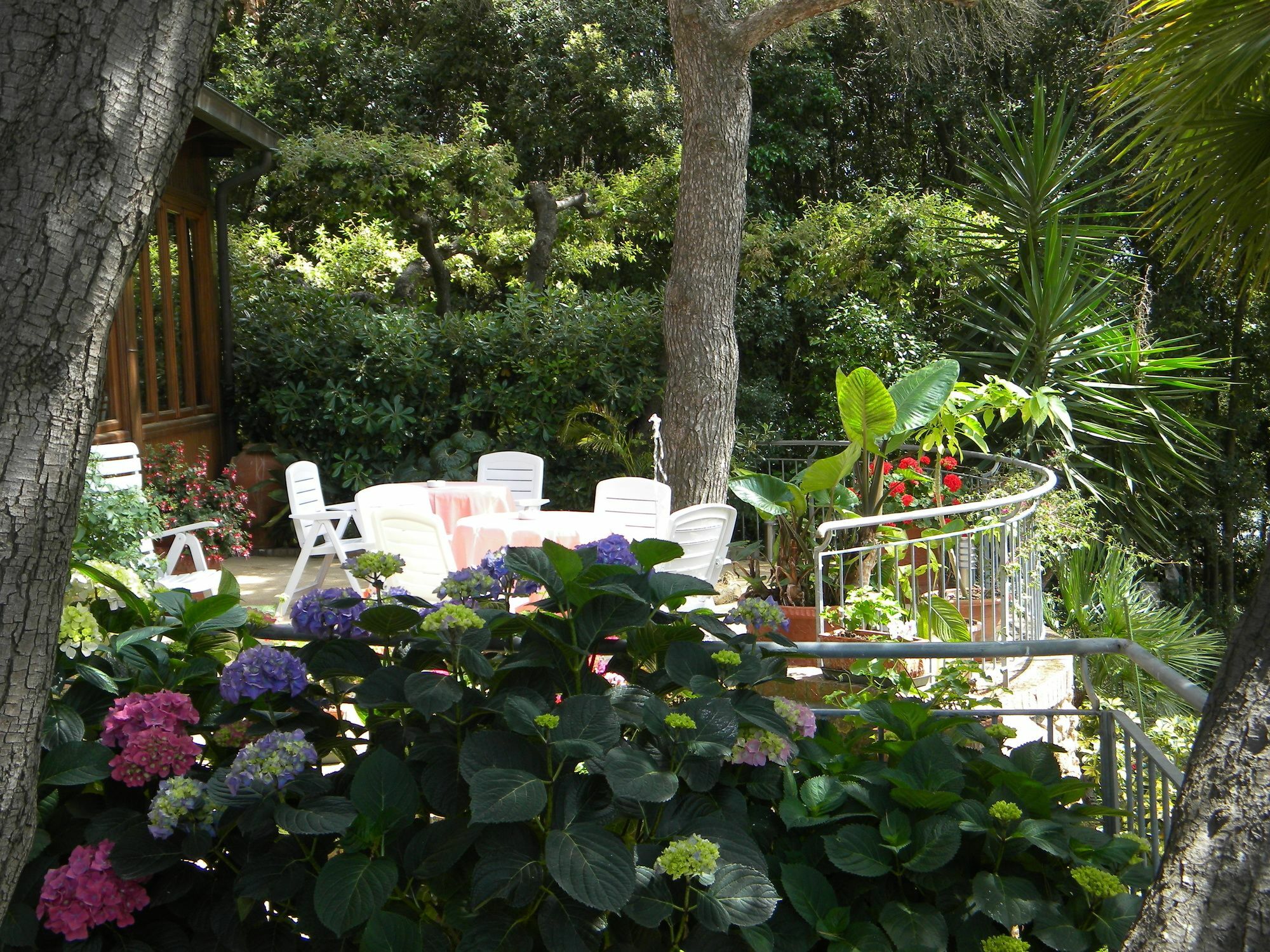 Hotel La Rosa Del Tirreno Livorno Esterno foto