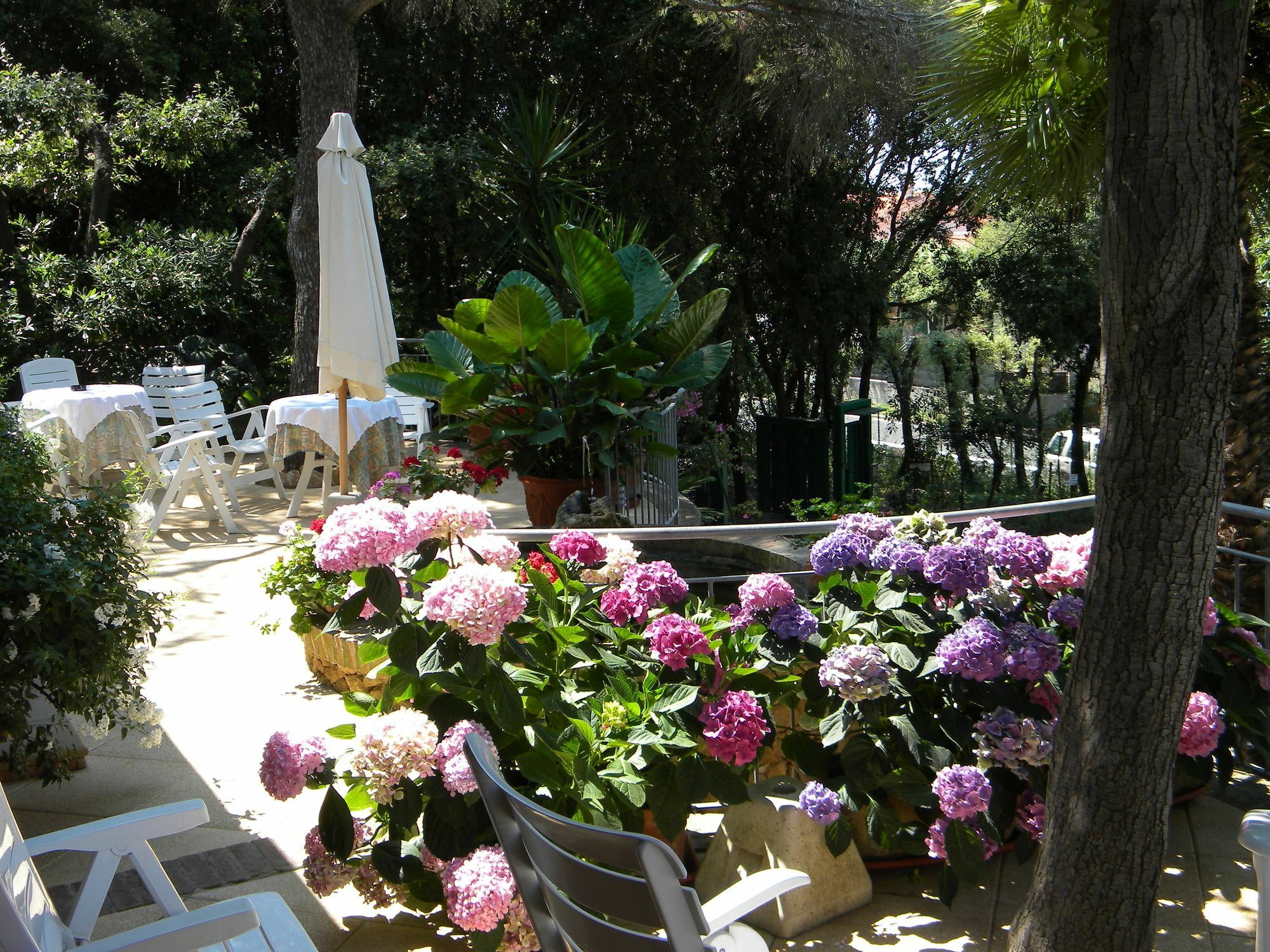 Hotel La Rosa Del Tirreno Livorno Esterno foto
